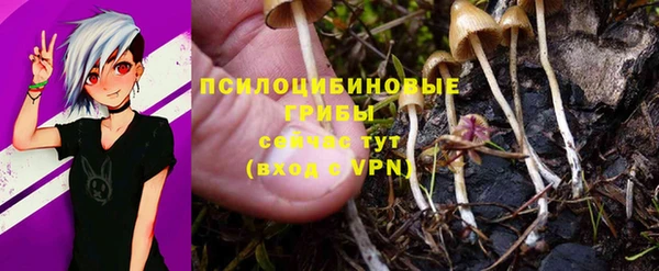 ALPHA PVP Богородск