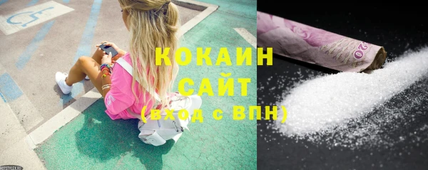 твердый Богданович