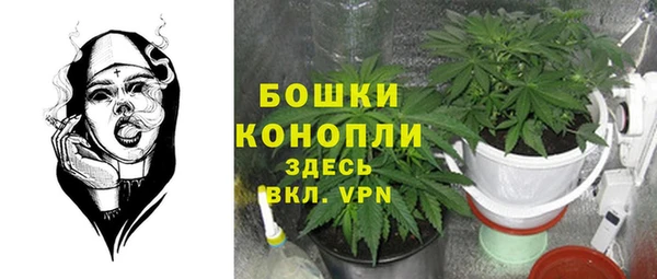 соль ск Верхний Тагил