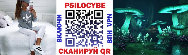 купить Воскресенск Галлюциногенные грибы Magic Shrooms